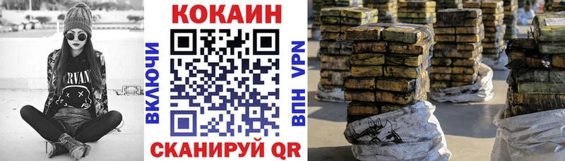 Купить закладки  Электрогорск  Кокаин Эквадор 