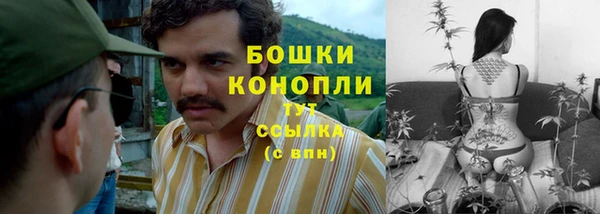 гидропоника Бородино