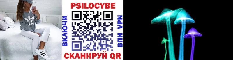 Псилоцибиновые грибы Magic Shrooms  Купить закладки  Электрогорск 